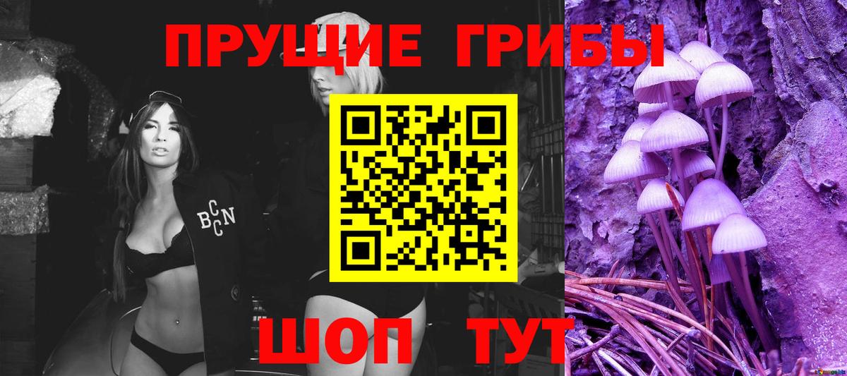 Псилоцибиновые грибы Cubensis Сертолово