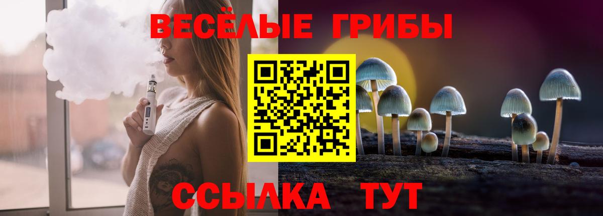 как найти закладки  Вход с VPN  Сертолово  Галлюциногенные грибы Psilocybe 